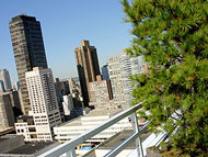Panoramic view overlooking Lincoln Center and the upper West Side
