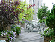 Beautiful rooftop garden terrace